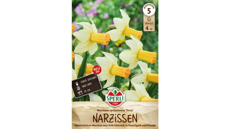 Die Alpenveilchen-Narzisse 'Terry'. Bild: © SPERLI GmbH / www.sperli.de. 