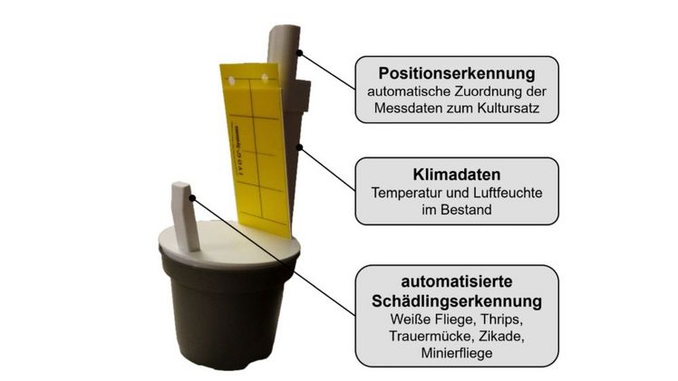 Innovation im Gewächshaus: Der intelligente Blumentopf. Bild: Hochschule Osnabrück.