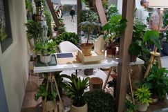 POS Green Solution Island "Naturnahes Wohnen - Indoor Living". Bild: GABOT.