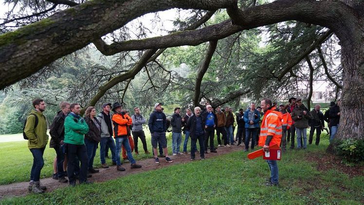 Auf den Erhalt mächtiger Bäume hat sich der Fachagrarwirt Martin Götz spezialisiert, der in mehreren hessischen Parks über 100-jährige Exemplare pflegt. Bild: Banse/Upload.