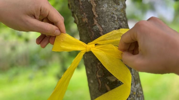 Gelbes Band am Baum. Bild: ZEHN.