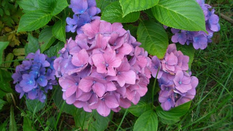 Die nun anstehenden Öffnungen sind eine große Erleichterung für Produktionsbetriebe, Fachhandel und Zulieferer. Bild: GABOT.