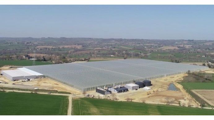 Luftbildansicht vom 17 Hektar großen Gewächshauskomplex. Bild: CMF Export.