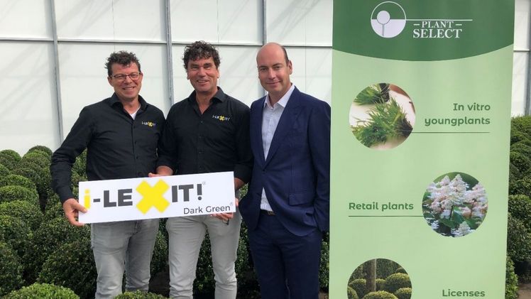 Von links nach rechts: Alexander Van Oploo & Ronald Stolwijk (Ilex Concepts/i-LEXIT!) und Willem Broux (Plant Select). Bild: Ilex Concepts/ Plant Select.
