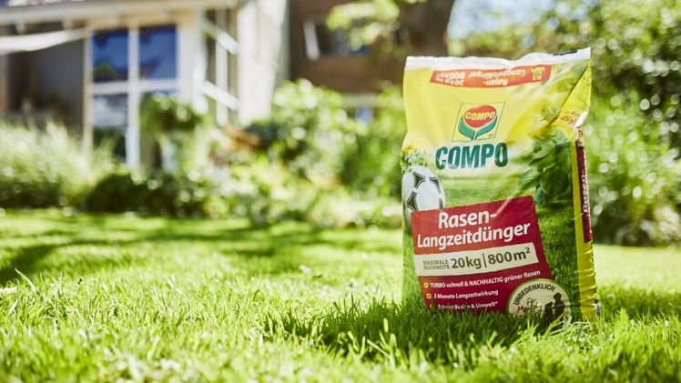 COMPO Rasen Langzeitdünger. Bild: © COMPO GmbH.