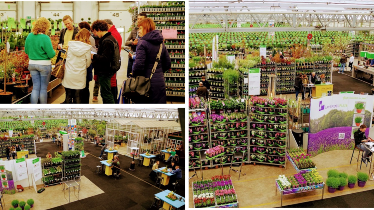 Unsicherheit im Handel führt zu geringerem Umsatz GROEN-Direkt Frühlingstage. Bild: GROEN-Direkt.