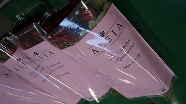 Premium-Rosen verpackt unter dem Label Aleia. Bild: GABOT.