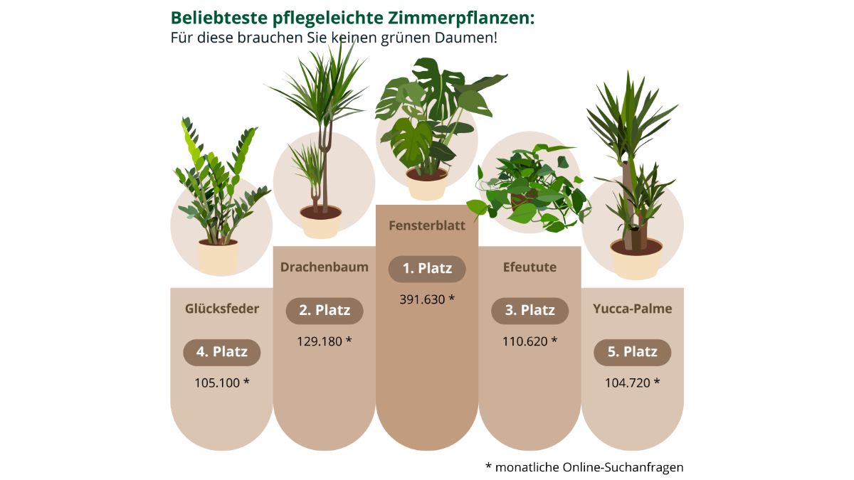 Top 10: Die beliebtesten Grnpflanzen | Gabot.de