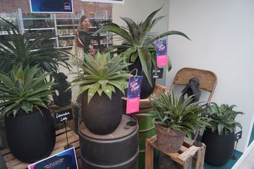 Future Plants by Waterdrinker in Aalsmeer. Bild: GABOT.