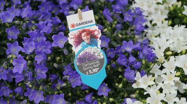 GARDENA bringt zusammen mit OBI und Syngenta eine eigene Pflanzenmarke auf den Markt. Bild: GABOT.