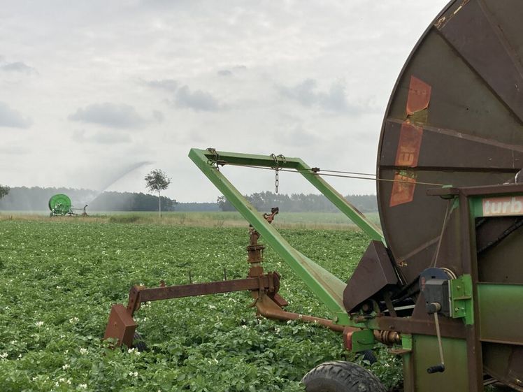 Beregnung war in diesem Jahr unabdingbar, um Ertrag und Qualität durch die trockenen und vor allem heißen Phasen zu sichern. Foto: Landvolk.