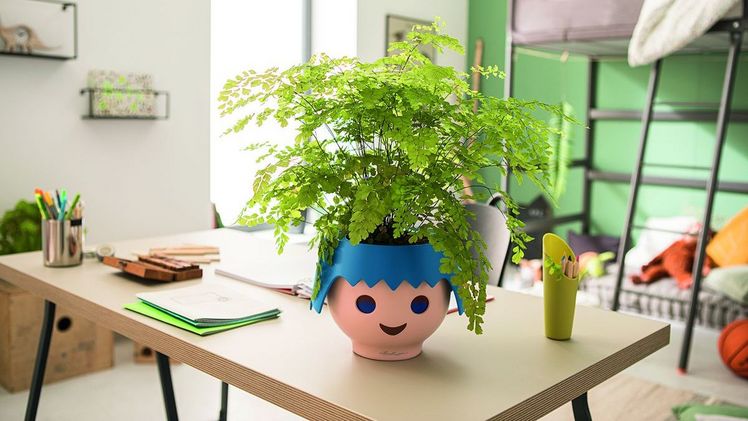 OJO, das erste Pflanzgefäß im PLAYMOBIL-Look, ist eine ganz besondere Geschenkidee zum Schulanfang. Mit OJO werden Kinder spielerisch und originell an das Thema Pflanzenpflege herangeführt und dabei vom LECHUZA-Bewässerungssystem ihres neuen Pflanzenfreundes unterstützt. Bild: LECHUZA.