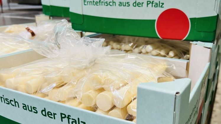Pfalzmarkt für Obst und Gemüse eG zieht eine durchwachsene Bilanz der diesjährigen Spargelsaison. Bild: Pfalzmarkt eG.