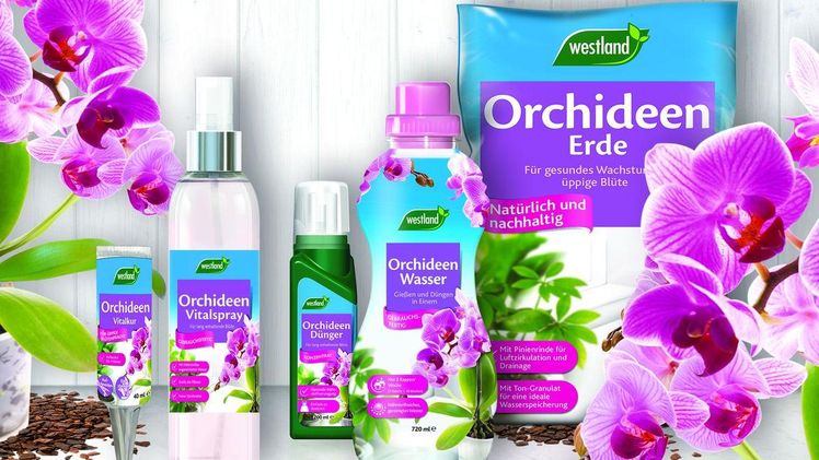 Umfassende Produkte für Orchideen. bild: Seramis.