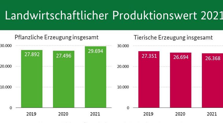 Der Produktionswert der deutschen Landwirtschaft steigt auf 59,6 Mrd. Euro. Bild: BLE.