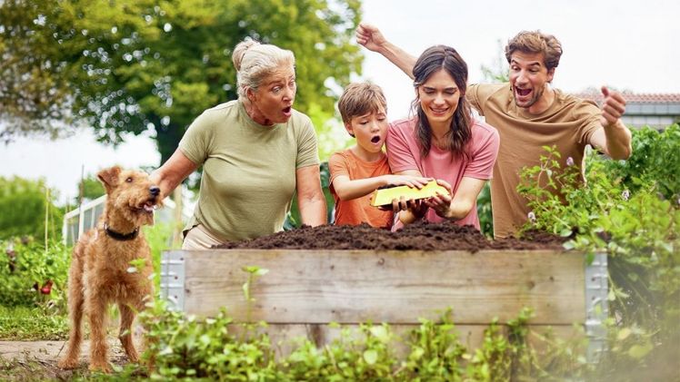 Auf Goldjagd mit COMPO. Bild: COMPO GmbH.