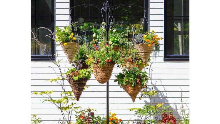 GardensUP® Ernte-Pfahl. Bild: Brome.