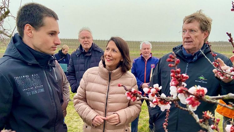 Landwirtschaftsministerin Daniela Schmitt  tauschte sich im Betrieb von Tobias Diehl in Heidesheim über die Lage der Branche aus. Bild: MWVLW.