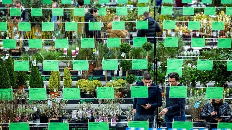 Ein großes internationales Publikum fand am 7. und 8. Februar den Weg zum GROEN-Direkt. Bild: GROEN-Direkt.