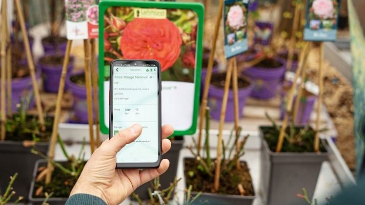 Die mobile Bestellapp von Lehmann erleichtert den Bestellprozess enorm. Bild: Lehmann.