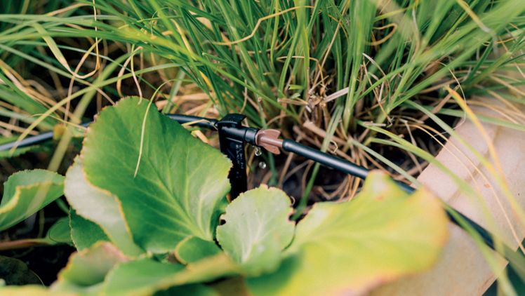 Das GEKA® Drip System. Bild: GEKA®.