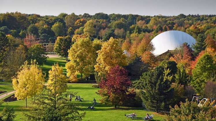 Jetzt stehen letzte Saisontage 2025 im Park der Gärten an. Bild: Park der Gärten.