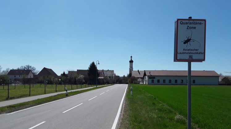 Quarantäne-Zone Asiatischer Laubholzkäfer. Bild: LfL.
