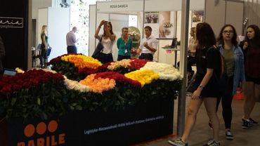 Flower Expo Poland: "Collection of Benefits". Bild: GABOT.