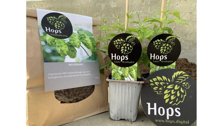 Das Hops Starter-Set beinhaltete zwei Mini-Hopfenpflanzen und einen Bio-Hopfendünger. Bild: RiPlant.