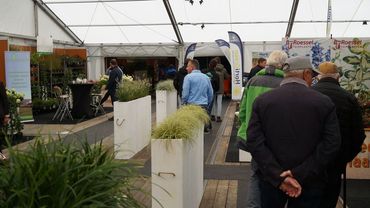 Die GrootGroenPlus 2021 war gut besucht. Bild: GABOT.