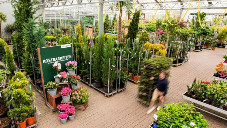 Blick in einen Landgard Cash & Carry-Markt. Bild: Landgard.