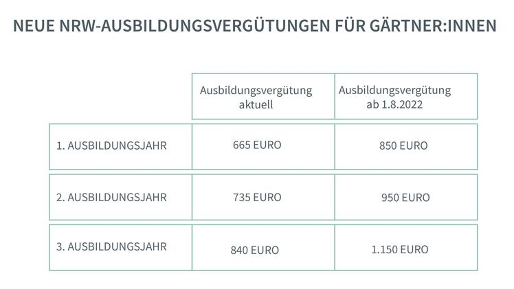 Zum 1. August 2022 steigt die Bruttoausbildungsvergütung für Gärtner:innen in allen Ausbildungsjahren. Bild: Landesverband Garten NRW.