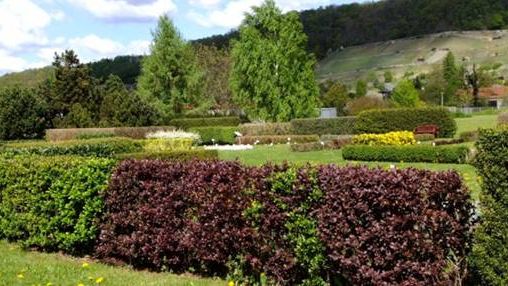 Am Samstag, dem 3. Juli findet in der Zeit von 10:00 bis 17:00 Uhr die Pillnitzer Gartentag 2021 statt. Bild: LfULG.