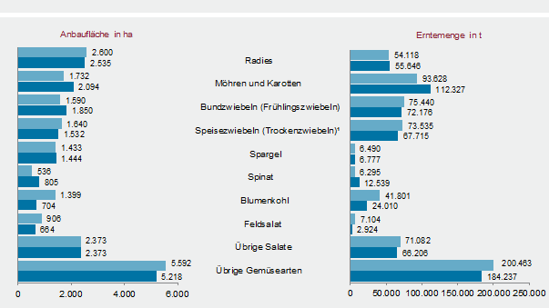 Anbaufläche und Erntemenge von Gemüse in Freiland in 2013 und 2019. 