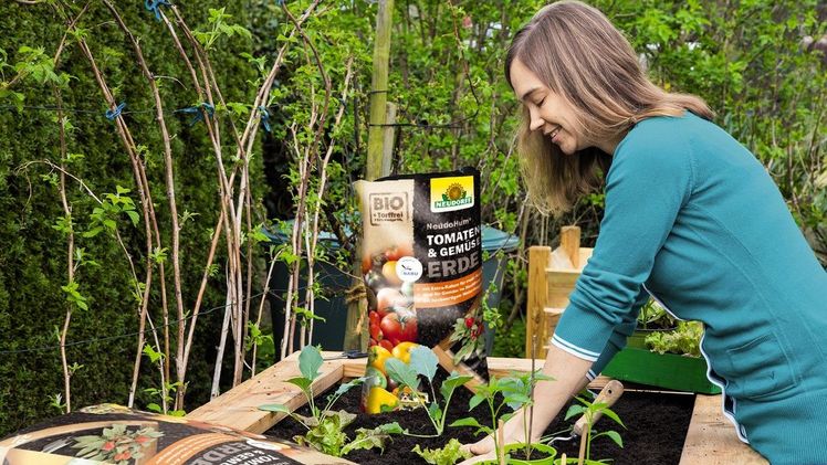 Torffreie Erde für´s Hochbeet. Bild: Neudorff.