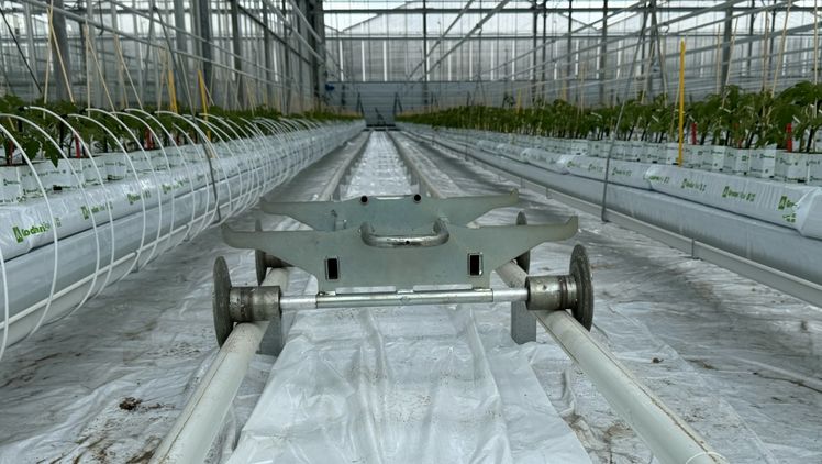 Das neue F&E-Gewächshaus in Honselersdijk. Bild: Metazet.