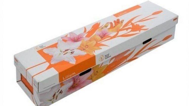 Royal FloraHolland nimmt der wiederverwendbare Blumenkarton Fc525 ab dem 1. Januar 2022 aus dem Sortiment. Bild: RFH.