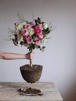 1. Platz: Stephanie Schneider, Urloffen - Notebook