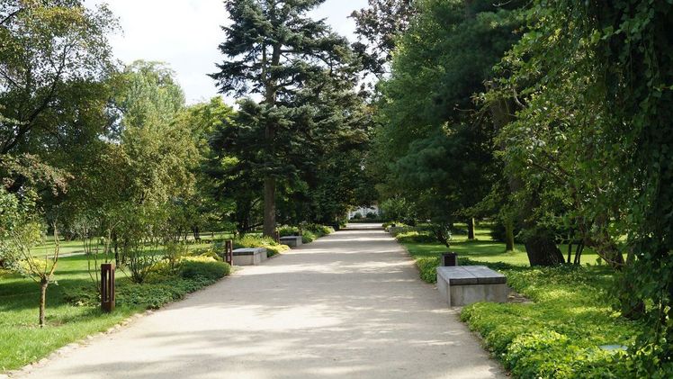 Ziel klimaresiliente Stadt: Hochschule Bonn-Rhein-Sieg erforscht Potenzial urbaner Grünflächen. Bild: GABOT.