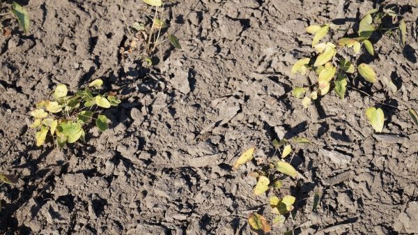 Umweltauswirkungen im Fokus: Forum zur Chemie der Atmosphäre am 7. und 8. März 2018 in Frankfurt am Main. Bild: GABOT.