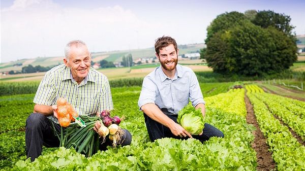 Fritz und Paul Sterkl, regionale Lieferanten aus Statzendorf in Niederösterreich, sind seit mehr als 25 Jahren verlässliche SPAR-Partner. Sie beliefern SPAR, pünktlich zum Saisonstart, mit frischem Salat direkt vom Feld. Bild: SPAR.