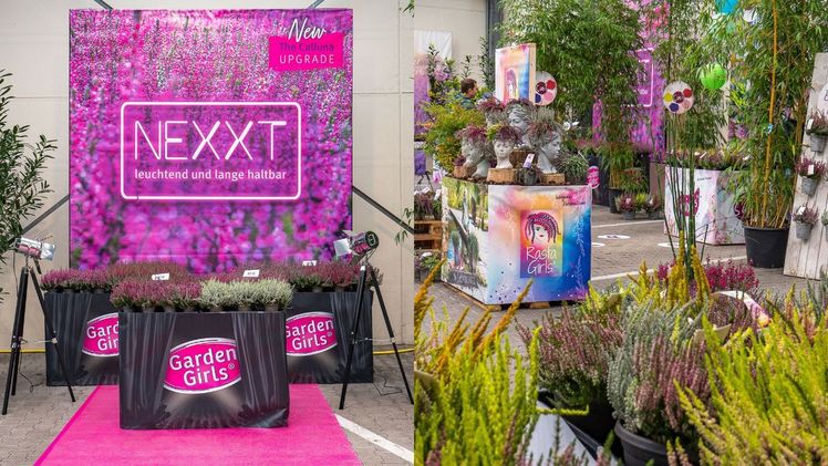 Besonders im Fokus standen die neuen NEXXT-Sorten, die die Züchtungsschwerpunkte von Gardengirls widerspiegeln. Bild: Gardengirls.