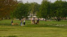 Artenreiche Wiesenweite auf der Landesgartenschau in Neuss. Bild: LAGA Neuss 2026_Markus van Offern.