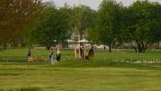 Artenreiche Wiesenweite auf der Landesgartenschau in Neuss. Bild: LAGA Neuss 2026_Markus van Offern.