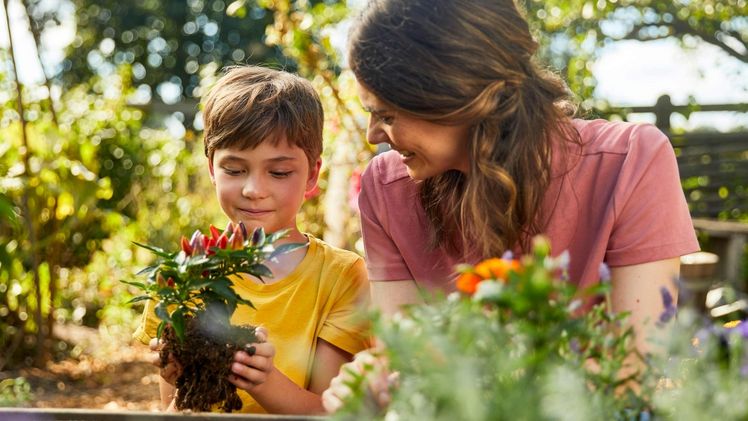 COMPO präsentiert das Wetter im ARD-Morgenmagazin. Bild: COMPO GmbH.
