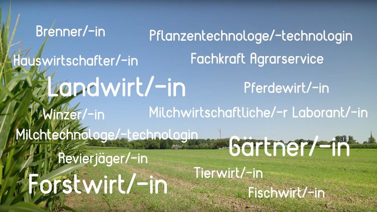 Neuer Info-Film "Grüne Berufe: Für die Zukunft ausbilden – innovativ, natürlich, nachhaltig". Screenshot: GABOT. Neuer Info-Film "Grüne Berufe: Für die Zukunft ausbilden – innovativ, natürlich, nachhaltig". Screenshot: GABOT.