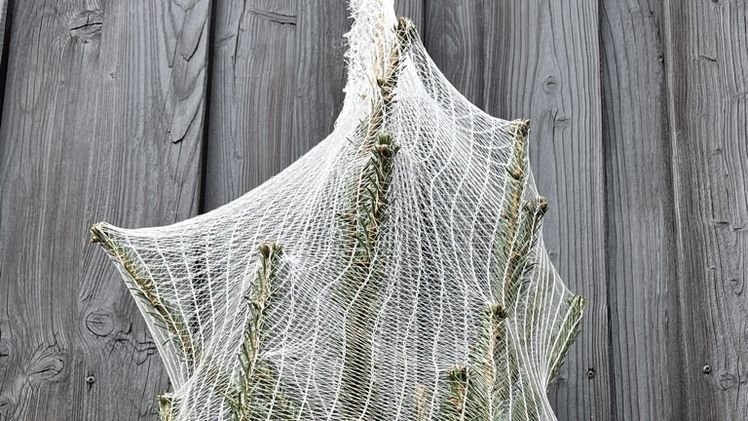 Kompostierbare, holzbasierte Netzverpackung. Bild: NaturNetz GmbH.