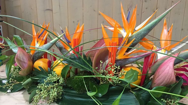 Bloomways startet Gewinnspiel. Bild: Bloomways.