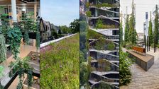 Die 4 Siegerobjekte des BuGG-Wettbewerbs "Gebäudegrün des Jahres 2026". Quelle: Christoph Platzer, HEIDEL Dachbegrünung, Patrick Frauchinger, Robert Brandt. 