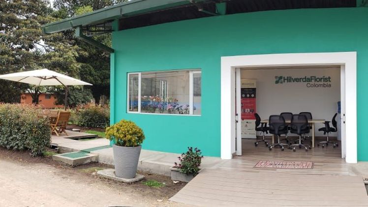 HilverdaFlorist Colombia ist der Jungpflanzenlieferant für das komplette HilverdaFlorist Schnittblumensortiment in Lateinamerika. Bild: HilverdaFlorist. HilverdaFlorist Colombia ist der Jungpflanzenlieferant für das komplette HilverdaFlorist Schnittblumensortiment in Lateinamerika. Bild: HilverdaFlorist.